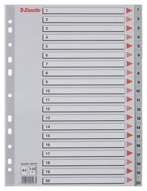 Rejstříky, šedá, A4, plast, 1-20, ESSELTE