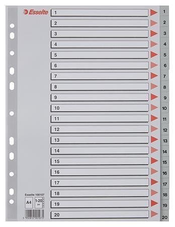 Rejstříky, šedá, A4, plast, 1-20, ESSELTE