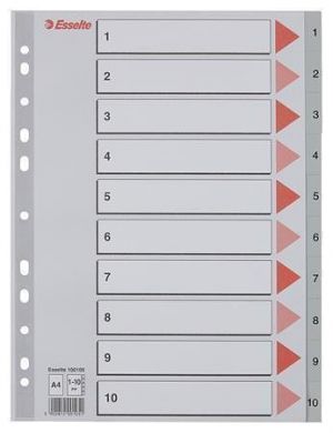 Rejstříky, šedá, A4, plast, 1-10, ESSELTE