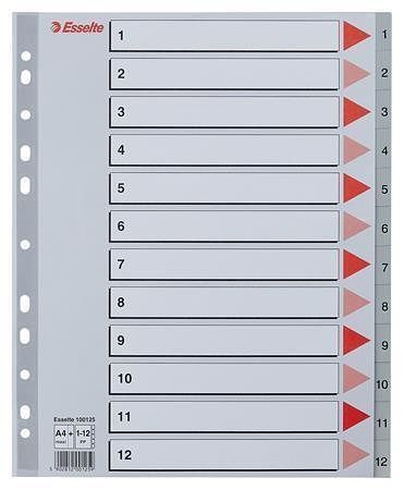 Barevné rejstříky, šedá, A4 Maxi, plast, 1-12, ESSELTE