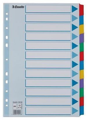 Zesílené rejstříky "Mylar", mix barev, karton, A4, 12 dílů, ESSELTE