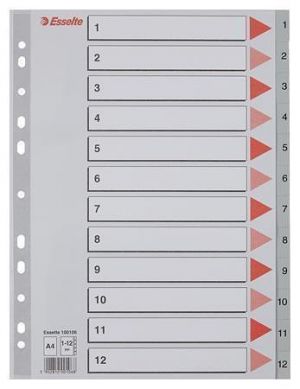 Rejstříky, šedá, A4, plast, 1-12, ESSELTE