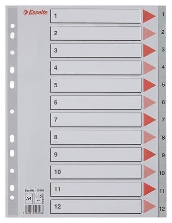 Rejstříky, šedá, A4, plast, 1-12, ESSELTE