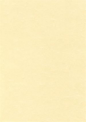 Papír, textura pergamen champange, A4, 95 g, APLI