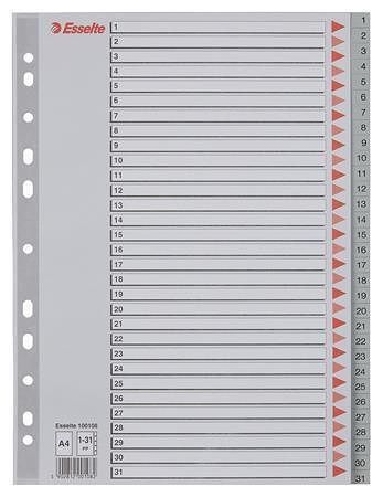 Rejstříky, šedá, A4, plast, 1-31, ESSELTE