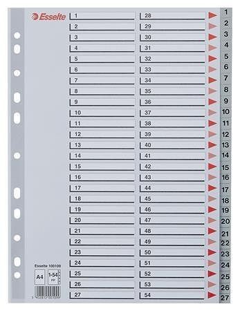 Rejstříky, šedá, A4 Maxi, plast, 1-54, ESSELTE