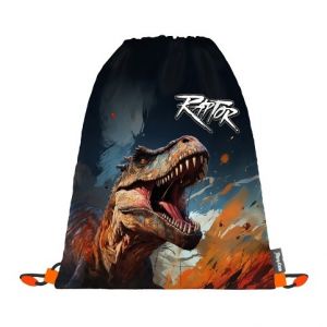 Sáček na cvičky Dino