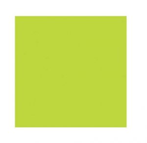 Ubrousky MAKI Unikolor L (20ks) Lime Green