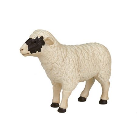 Mojo Hampshire ovce