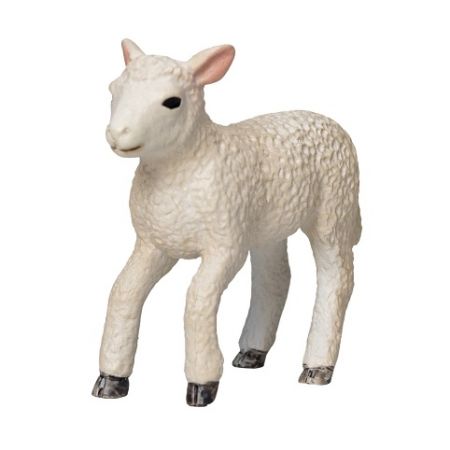 Mojo Jehňátko romney marsh běžící