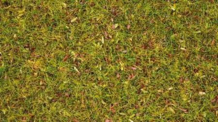 Noch Statická tráva Kvetoucí louka 2,5 mm