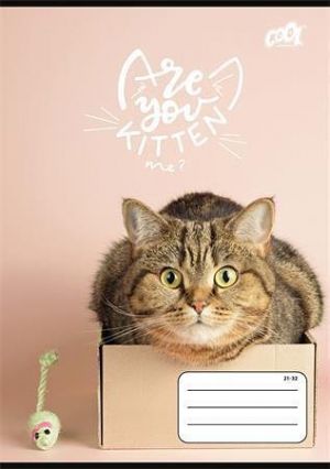 Sešit "Cats Forever", 21-32, mix motivů, A5, linkovaný, 32 listů, 4-8. třída, COOL BY VICT