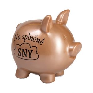 ALBI Prasátková pokladnička - Na splněné sny