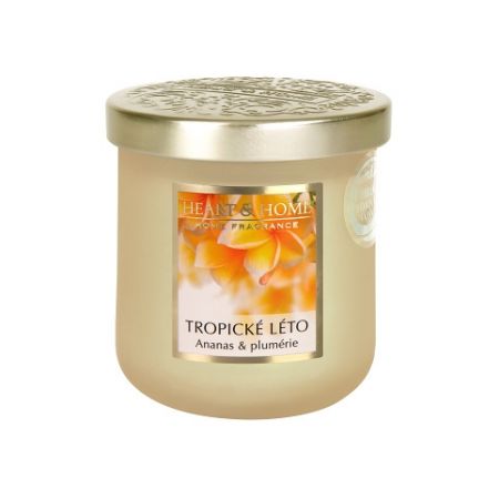 ALBI Střední svíčka - Tropické léto