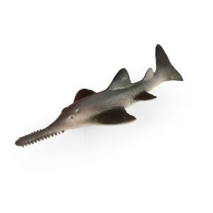 Mořská ryba piloun mnohozubý 14 cm