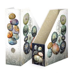 ARGUS Archivační box na dokumenty A4 Balance 17260430