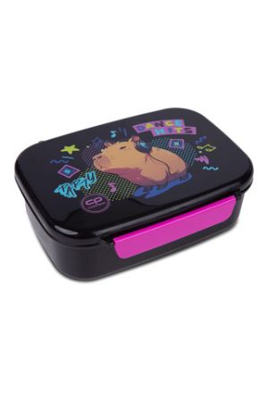 Box na svačinu s přihrádkami - Kapybara Music
