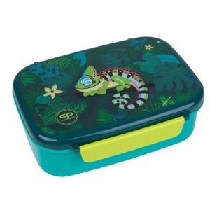 Box na svačinu s přihrádkami - TROPIC