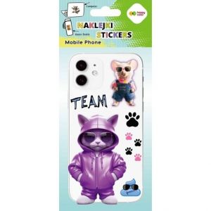 Samolepky NA MOBIL 9 x 20,5 cm - Cool Team