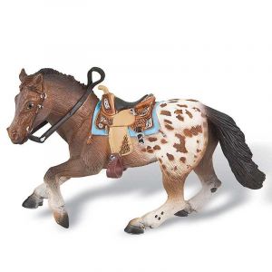 Appaloosa hřebec