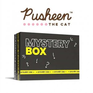 Mystery Box Pusheen