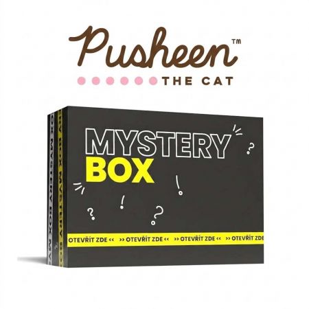 Mystery Box Pusheen