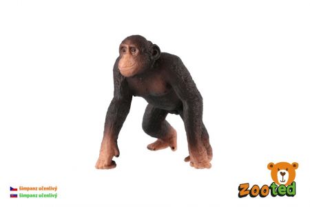 Šimpanz učenlivý zooted plast 8cm