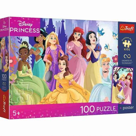 Puzzle Premium Plus Kids - Disney Princess 41x27,5cm + plakát 100 dílků v krabici 29x19x4c
