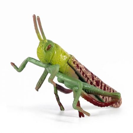 Hmyz - saranče 7 cm