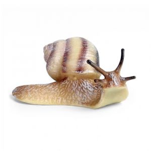Hlemýžď 8 cm