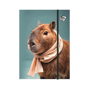 Desky s gumičkou "Capybara", karton, A4, OPTISCHOOL 27IGM00-004