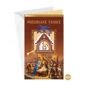 ARGUS Vánoční přání 11-6616c