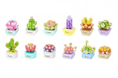 Stavebnice mini KOCO Sukulent v květináči plast mix druhů v krabičce 8x12x4cm