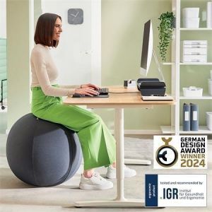 Gymnastický míč na sezení "Ergo Cosy", tmavě šedá, 65 cm, s těžítkem proti odkutálení, LEI