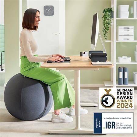 Gymnastický míč na sezení "Ergo Cosy", tmavě šedá, 75 cm, s těžítkem proti odkutálení, LEI