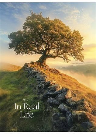 Sešit "In Real Life", mix motivů, A4, linkovaný, 40 listů, SHKOLYARYK A4-040-5249L
