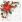Ubrousky PAW Dekor L (20ks) Poinsettia Composition