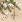 Ubrousky DAISY L (20ks) Eco Handcraft Decorations