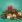 Ubrousky DAISY L (20ks) Red Candle Composition on Green