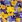 Ubrousky PAW TETE L (20ks) Looking Pansies