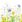 Ubrousky DAISY C (20ks) Beautifull Flower Meadow