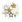 Ubrousky DAISY L (20ks) Chic Stars Collection