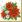 Ubrousky MAKI L (20ks) Poinsettia Comp