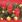 Ubrousky MAKI L (20ks) Classic  Red Festive Arr