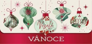 ALBI Vánoční magnetická obálka na peníze - Veselé Vánoce