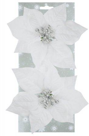 Poinsettie bílá 17 cm, 2 ks na klipu