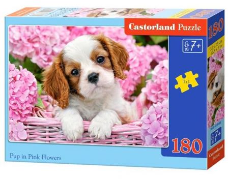 Castorland  Puzzle 180 dílků Štěně v růžových květech