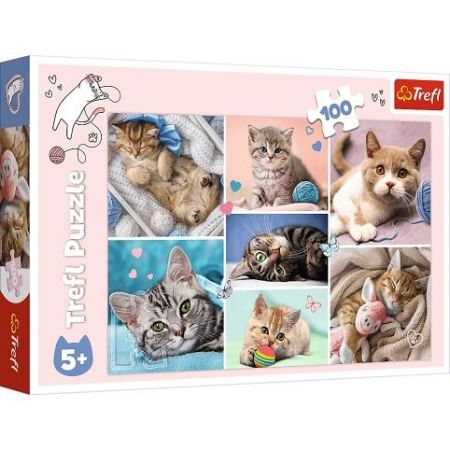 TREFL Puzzle 100 Koťátka 41x27,5cm 100 dílků